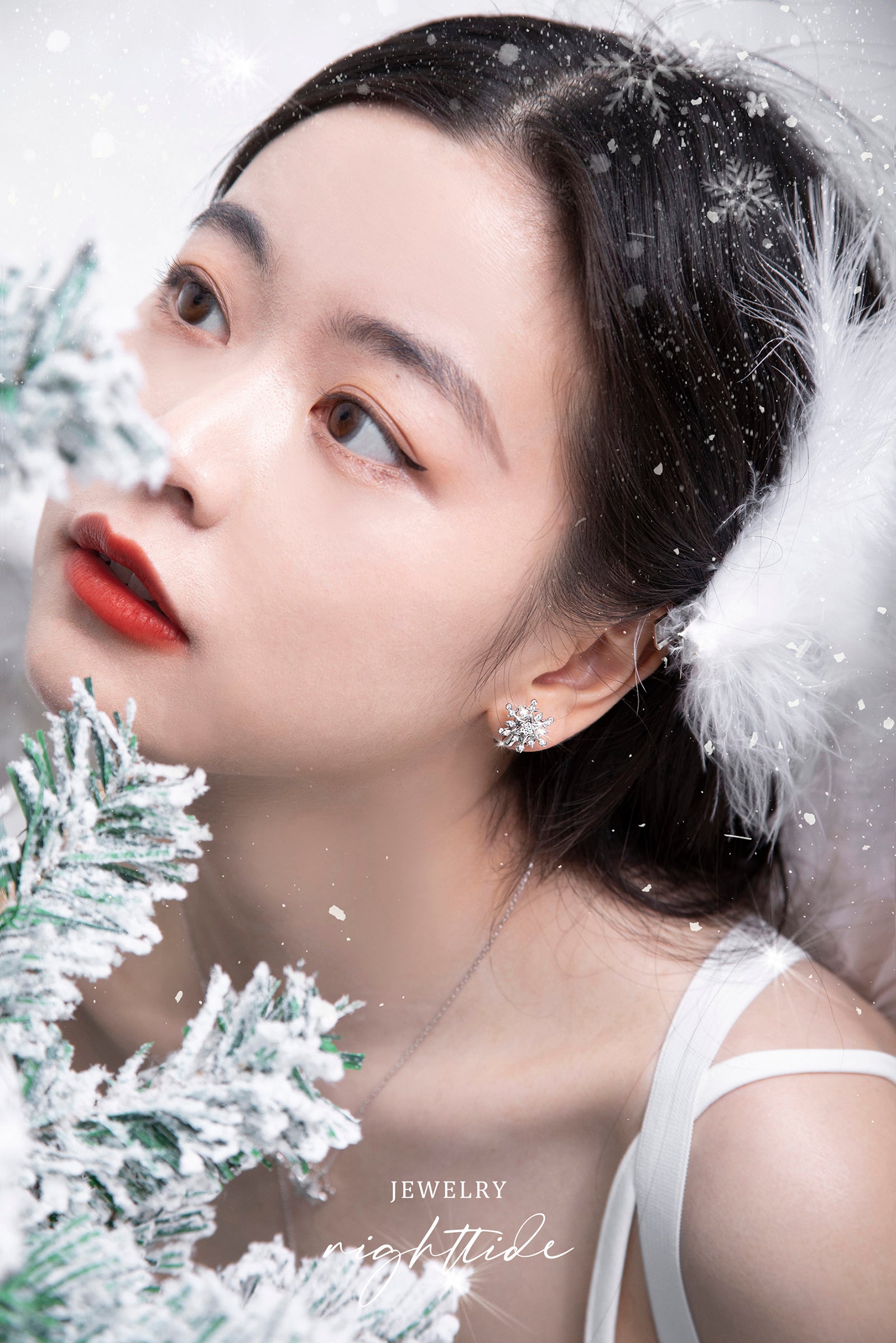 Nighttide Jewelry Snowflake-shaped Zirconia Earrings EXZ1078