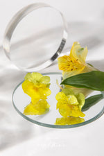 Load image into Gallery viewer, Nighttide Jewelry Preserved Fresh Flower Epoxy Resin Glue Earrings EXZ1225
