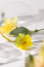 Load image into Gallery viewer, Nighttide Jewelry Preserved Fresh Flower Epoxy Resin Glue Earrings EXZ1225
